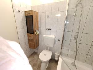 a bathroom with a toilet and a shower at Studio Almwiese in Kaprun