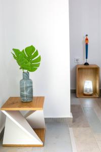 a plant in a glass vase sitting on a table at Elite Houses Santorini in Emporio