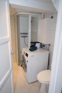 a bathroom with a washing machine and a toilet at Classic Stavanger Townhouse, Garden, Spacious in Stavanger +26 photos