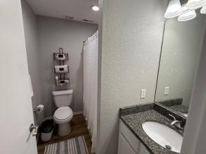 a bathroom with a toilet and a sink and a mirror at Branson Ridge Retreat in Branson +7 photos