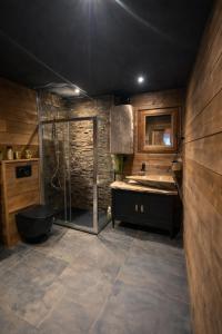 a bathroom with a shower and a toilet and a sink at Auvers Wood lodge in Auvers-sur-Oise