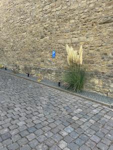 a stone wall with a patch of grass next to a wall at Ferienwohnung Clemens in Nideggen
