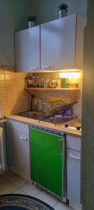 a kitchen with a green sink and white cabinets at Apartment 11 A in BRE