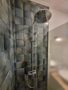 a shower with a shower head in a bathroom at Container home in San Rafael +30 photos