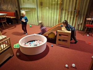 two children playing in a play room with a bowl of balls at Locus Malontina Hotel in Gmünd in Kärnten