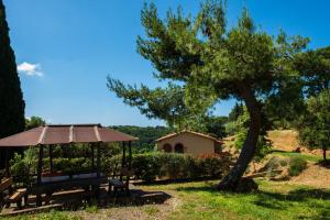 a gazebo with a tree and a house at Appartamento bilocale I Cerroni Montescudaio in Montescudaio