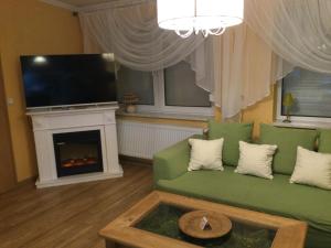 a living room with a green couch and a fireplace at Ferienhaus 1 Am Eichenberg in Blankenburg