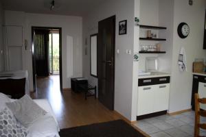 Kuchyňa alebo kuchynka v ubytovaní Apartament Kolberga w Sopocie