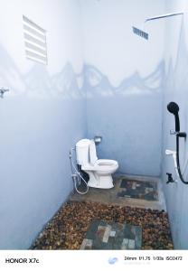 a bathroom with a toilet in a blue room at Almond Breeze Cottage in Udawalawe