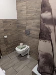 a bathroom with a toilet and a shower at Flensburg Süd in Flensburg