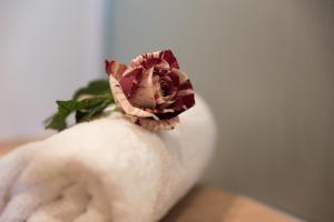 a pink rose in a white vase at Panorama Hotel Leidingerhof in Mondsee