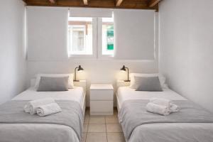 two twin beds in a room with two windows at The Tree House Coliving in El Médano +34 photos