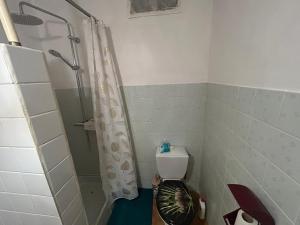a bathroom with a shower and a toilet at Kay Nono in Rivière-Salée +21 photos