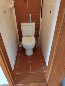 a bathroom with a toilet in a small room at Rooftop Apartment in Šamorín