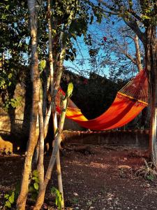 a red hammock hanging between two trees at Yellow Submarine Hostal in Poneloya