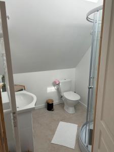 a bathroom with a toilet and a sink and a shower at Ferme du grand treille in Haverskerque