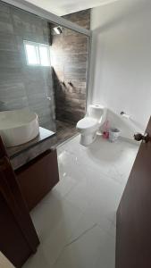 a bathroom with a toilet and a shower and a sink at Casa Analco Durango in Durango