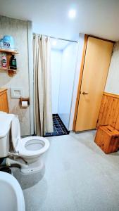 a bathroom with a toilet and a shower at One bedroom self-contained accommodation in Lerwick +18 photos