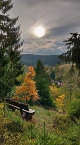 a park bench sitting on a hill in a field at Haus-Salamander-mit-Sauna in Wildemann