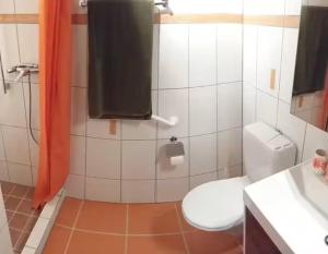 a small bathroom with a toilet and a sink at Rustico La Stalla di Adele in Cevio +14 photos