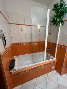 a bath tub in a bathroom with a plant at Apartmán Renata in Rudník +40 photos