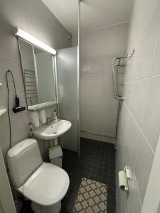 a bathroom with a toilet and a sink and a mirror at Kylpylä-hotelli 261 in Ikaalinen