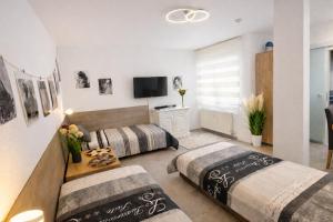 a bedroom with two beds and a tv at 2 Room Galerie Einliegerwohnung in Rheinstetten, Messe Nähe, Rollstuhlfahrer geeignet in Rheinstetten