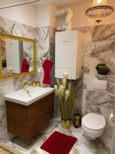 a bathroom with a sink and a toilet and a mirror at Deluxe Suite in Vienna +25 photos