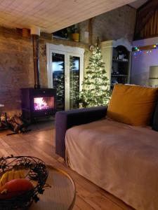 a living room with a christmas tree and a couch at Gîte Ô Nature in Varen