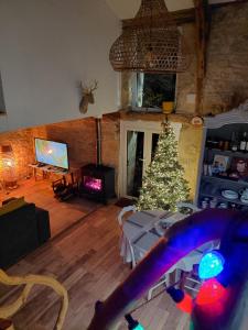 a living room with a christmas tree and a fireplace at Gîte Ô Nature in Varen
