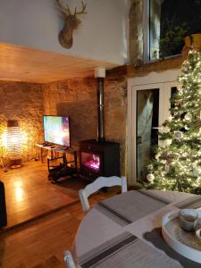 a living room with a christmas tree and a fireplace at Gîte Ô Nature in Varen +64 photos