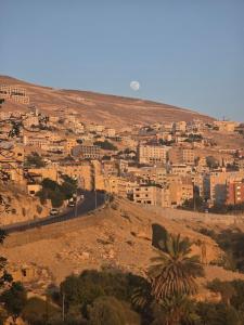 a view of a city on a hill with buildings at Petraone in Wadi Musa