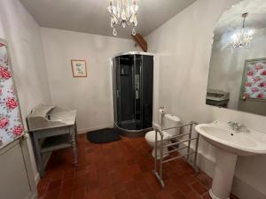 a bathroom with a shower and a toilet and a sink at Les Glycines 23300 in La Souterraine +22 photos