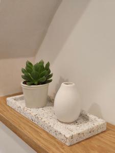 two vases sitting on a shelf with a plant at Apartments 11 in Forchheim
