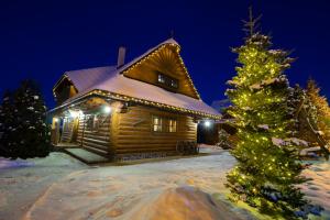 a christmas tree in front of a log cabin at Chalúpky u babky - Chalúpka 18 s vírivkou in Liptovská Štiavnica