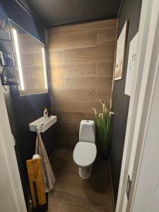 a small bathroom with a toilet and a sink at Cozy 3-Bedroom Home in Forus in Stavanger +25 photos