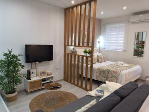 a living room with a couch and a bed and a tv at Lucas House in Nazaré