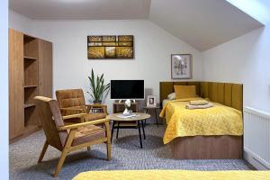 a bedroom with a bed and a chair and a tv at Penzion Habrovická Bašta in Ústí nad Labem