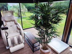 a chair and a potted plant on a porch at Jacuzzi XXL avec La Rouyonnaise in Tinténiac +17 photos