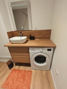 a bathroom with a sink and a washing machine at La Parenthèse du Châtelet in Saint-Étienne-de-Valoux +13 photos