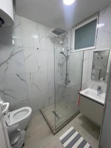 a bathroom with a shower and a toilet and a sink at Panoramic View House in Tepelenë +38 photos