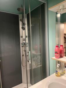 a shower with a glass door in a bathroom at Studio meublé centre-ville Saint Junien in Saint-Junien
