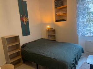 a bedroom with a bed and a book shelf at Studio meublé centre-ville Saint Junien in Saint-Junien