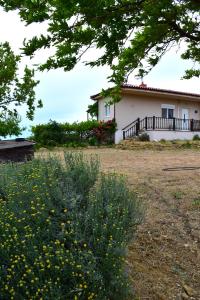 a house in the background with a field of flowers at Villa Thanos in Samothraki