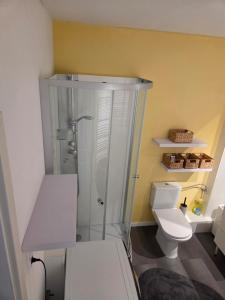 a bathroom with a shower and a toilet at Ferienwohnung Noltenius 2 in Bülstedt +9 photos