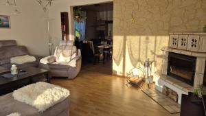 a living room with a couch and a fireplace at Haus Ferien Bock in Clausthal-Zellerfeld