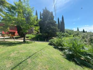 a yard with green grass and trees and a house at Podere Casato in Montespertoli +42 photos