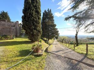 a gravel road with trees on the side at Podere Casato in Montespertoli