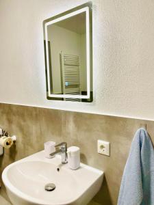 ein Badezimmer mit Waschbecken und Spiegel in der Unterkunft Alexa in Eußenheim