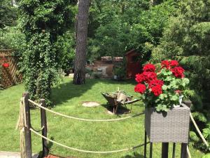 a garden with a wheelbarrow and flowers in a yard at Welsh Dragon in Siedlung Schönwalde